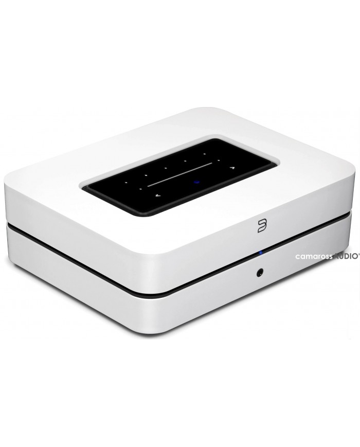 Bluesound PowerNode N330
