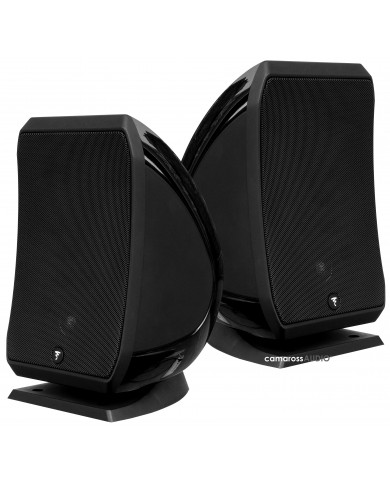 Focal Sib Focal Sib