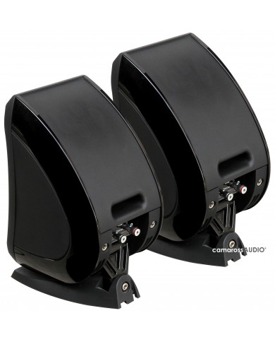 Focal Sib Focal Sib