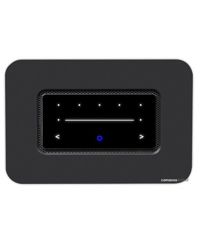 Bluesound Node ( N 130 ) Bluesound Node ( N 130 )