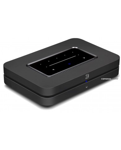 Bluesound Node ( N 130 ) Bluesound Node ( N 130 )