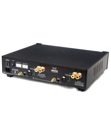 wyred 4 sound stp se pre - st1000-power amplifier
