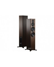 Dynaudio Focus 50 Walnut Wood