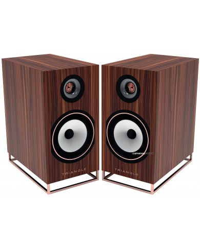 Triangle Comète Active 40TH Anniversary Triangle Comète Active 40TH Anniversary