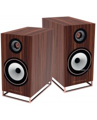 Triangle Comète Active 40TH Anniversary Triangle Comète Active 40TH Anniversary