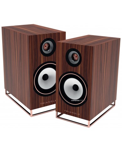 Triangle Comète Active 40TH Anniversary Triangle Comète Active 40TH Anniversary