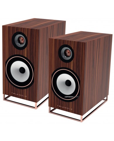 Triangle Comète Active 40TH Anniversary Triangle Comète Active 40TH Anniversary