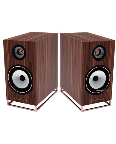 Triangle Comète Active 40TH Anniversary Triangle Comète Active 40TH Anniversary