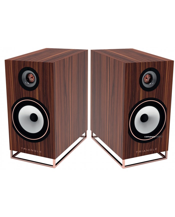 Triangle Comète Active 40TH Anniversary