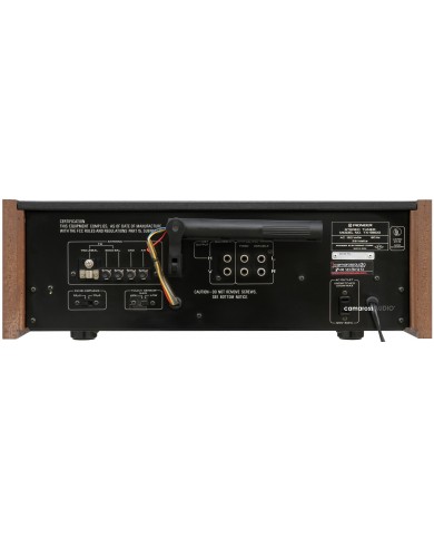 Pioneer TX-9800 Rear