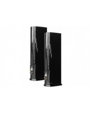 Revel Performa3 F208 rear Revel Performa3 F208 rear