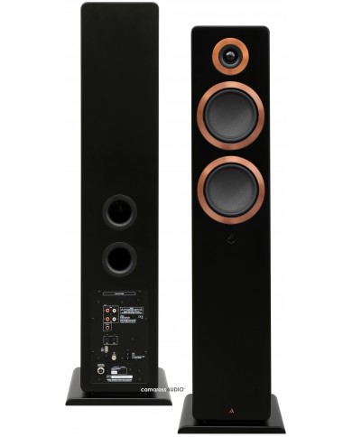Argon Audio FORTE A55 Siyah Hoparlör, Bakır Detaylı Ön Yüzey ve Bağlantılar.