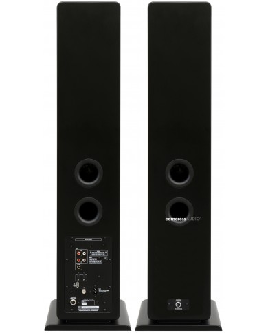 Argon Audio FORTE A55 Siyah Hoparlör Arkası Bağlantı Portları ve Bas Refleks Yuvaları