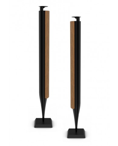 Bang & Olufsen BeoLab 18  Bang & Olufsen BeoLab 18