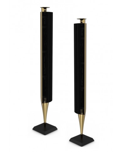 Bang & Olufsen BeoLab 18  Bang & Olufsen BeoLab 18