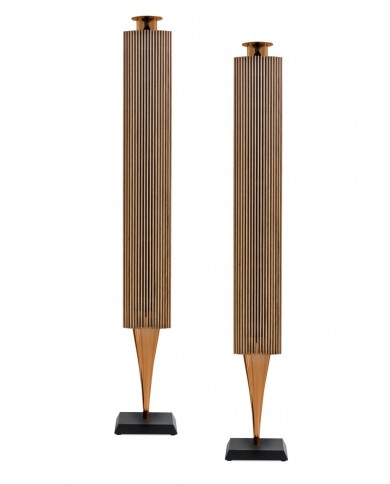 Bang & Olufsen BeoLab 18  Bang & Olufsen BeoLab 18