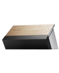 Bang & Olufsen Beosound Moment