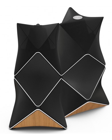 Bang & Olufsen BeoLab 90 Bang & Olufsen BeoLab 90