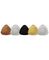 Bang & Olufsen BeoLab 50 COLOR