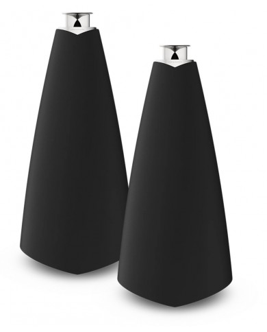 Bang & Olufsen BeoLab 20 Bang & Olufsen BeoLab 20