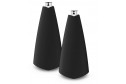 Bang & Olufsen BeoLab 20