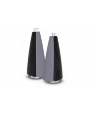 Bang & Olufsen BeoLab 20