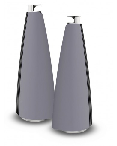 Bang & Olufsen BeoLab 20 Bang & Olufsen BeoLab 20