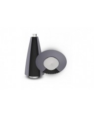 Bang & Olufsen BeoLab 20 FORGED IRON