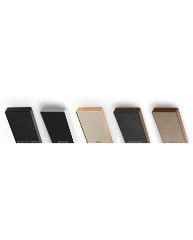 Bang & Olufsen Beosound Stage COLOR Bang & Olufsen Beosound Stage COLOR