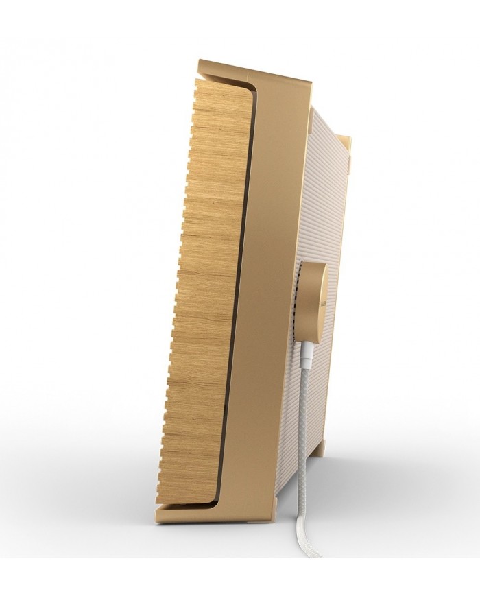 Bang & Olufsen Beosound Level