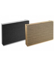 Bang & Olufsen Beosound Level