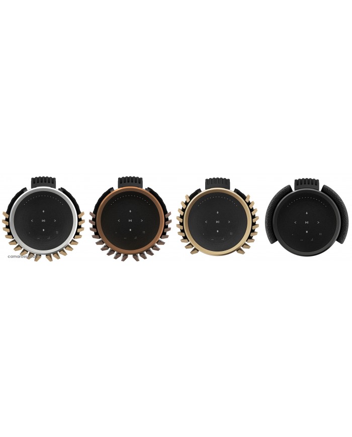 Bang & Olufsen BeoLab 28 COLOR