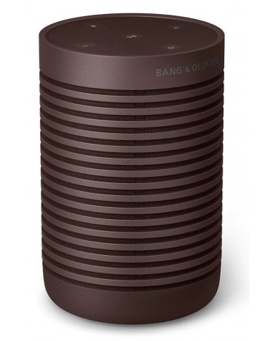 Bang & Olufsen Beosound Explore