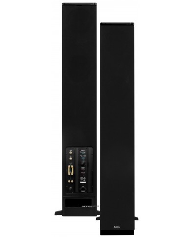 Definitive Technology BP 3000TL Active spekaer