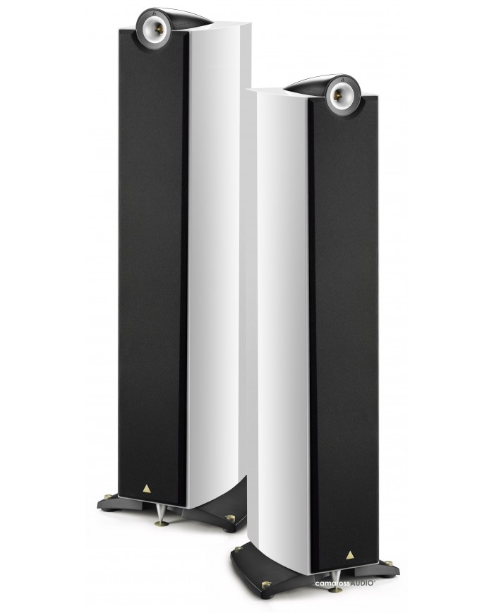 TRIANGLE Genese QUARTET