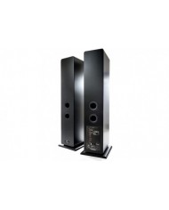 Argon Audio FORTE A55 MK2 siyah hoparlör arkası, bağlantı noktaları.