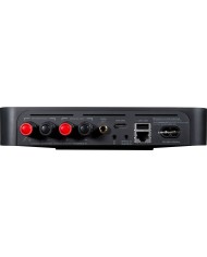 Bluesound PowerNode EDGE inputs - rear