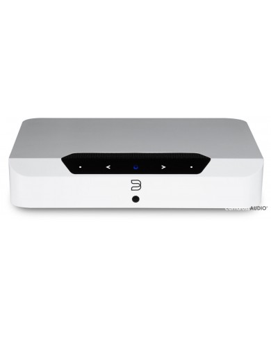 Bluesound PowerNode EDGE Bluesound PowerNode EDGE
