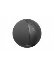 Elipson W35 Bluetooth Aktif Hoparlör (WiFi) Elipson W35 Bluetooth Aktif Hoparlör (WiFi)