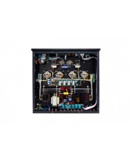 Primaluna Dialogue One