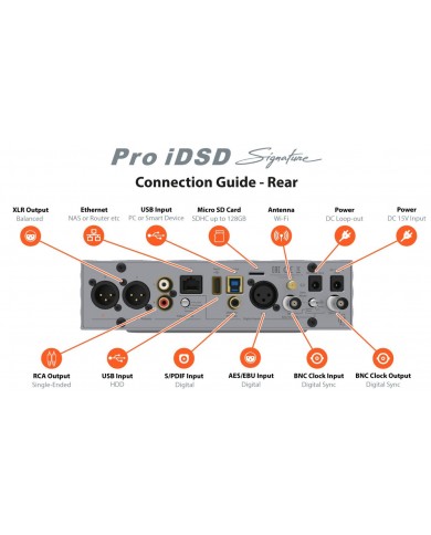 iFi Audio Pro iDSD Signature input