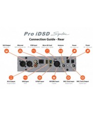 iFi Audio Pro iDSD Signature input iFi Audio Pro iDSD Signature input