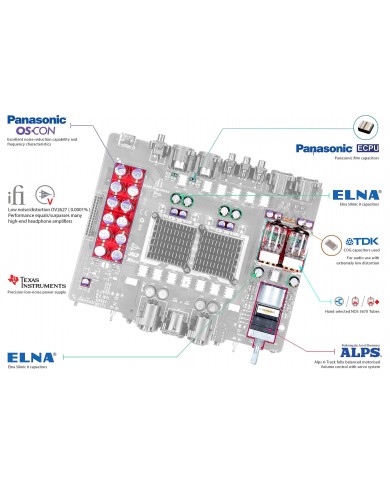 iFi Audio Pro iCAN Signature