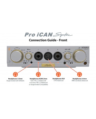 iFi Audio Pro iCAN Signature