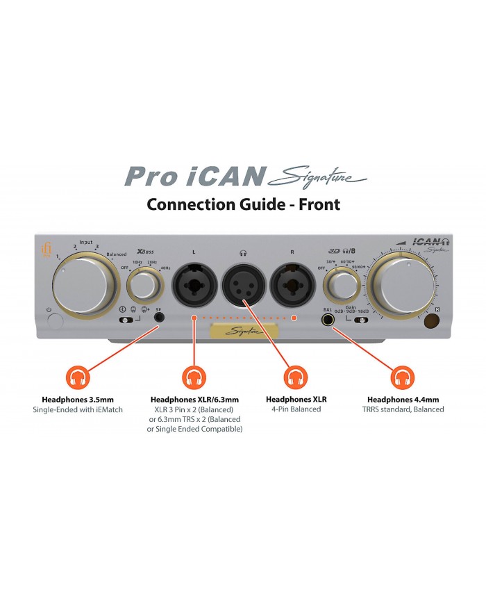 iFi Audio Pro iCAN Signature