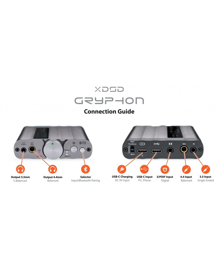 iFi Audio xDSD Gryphon Pro Pack