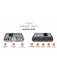 iFi Audio xDSD Gryphon Pro Pack