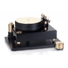 Acoustic Solid - Solid Wood Reference Black-Gold