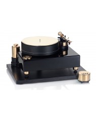 Acoustic Solid - Solid Wood Reference Black-Gold