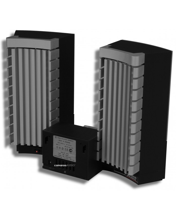 Bang & Olufsen BeoLab 2000